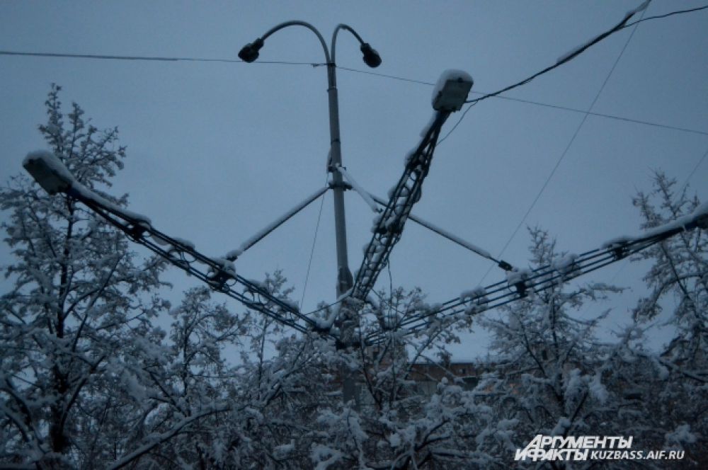 Даже провода и уличное освещение напоминало лапы огромных елей.