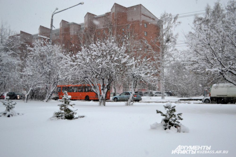 Если бы не яркие автобусы, светофоры, вывески магазинов и люди, встречающиеся в Кемерове, сложилось бы ощущение абсолютно белоснежного города.