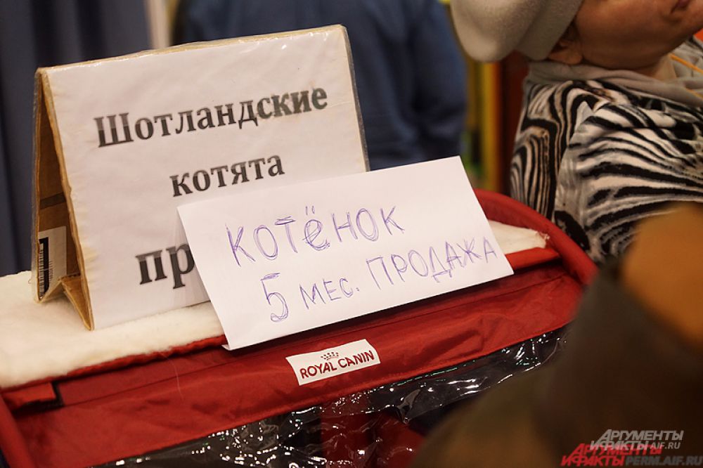 Выставка проработает до 6 декабря.