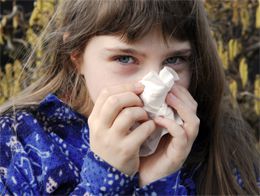 У ребенка сильная аллергия к какому врачу обратиться