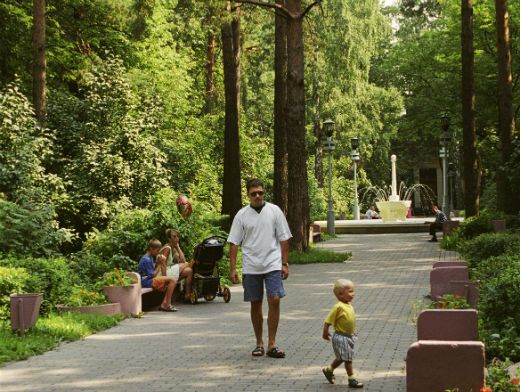 На въездах в парки Московской области установят шлагбаумы | Безопасность | Авто | Аргументы и Факты