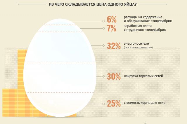 Почему дорожают яйца. Инфографика яйцо.