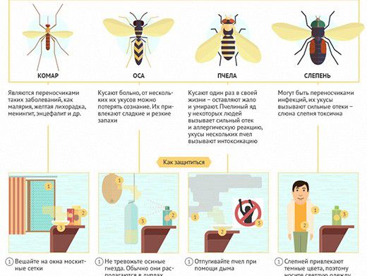 Как защитить ребенка от мошек и комаров?