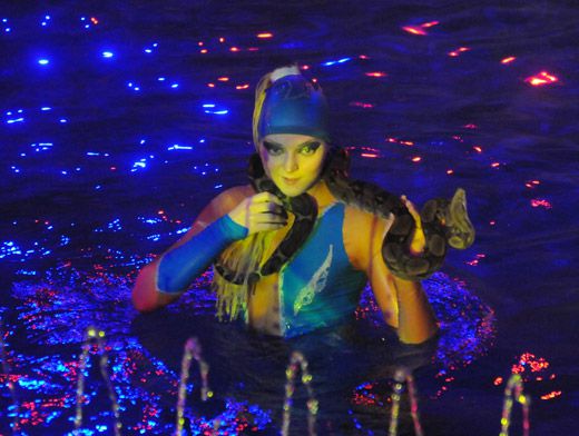 Омск под водой. Омский цирк на воде. Омский цирк на воде 2005 год.