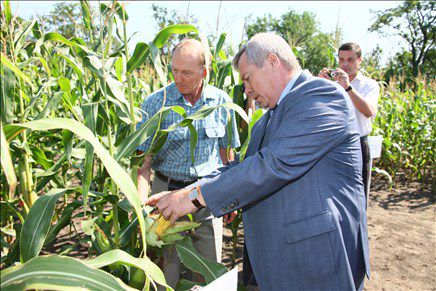  На реализацию госпрограммы развития сельского хозяйства планируется направить свыше 18,4 миллиарда рублей
