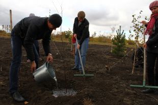 В студенческом парке ДГТУ посадили 300 новых деревьев.