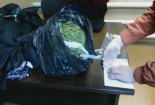 Сотрудники ГИБДД для проверки документов остановили автомобиль, а при обыске нашли пакет с марихуаной.