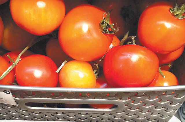 Омичи будут есть помидоры, выращенные в родном регионе. 