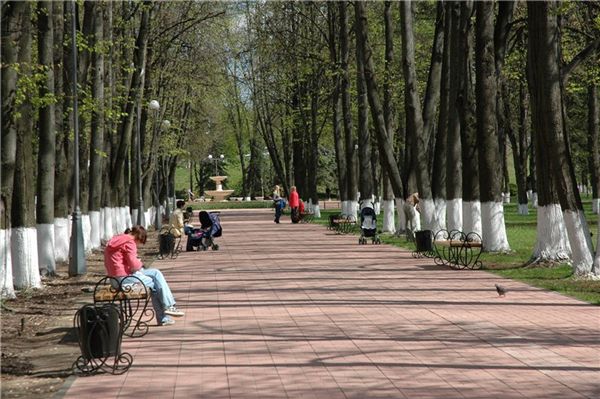 Парк на фрунзенской фото