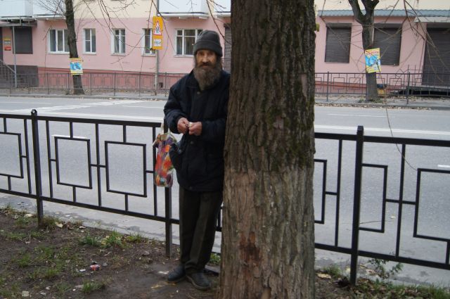 Внезапное появление Евгения Агафонова под деревом забеспокоило многих обитателей улицы Фрунзе