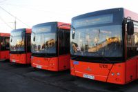 Новые калининградские автобусы.