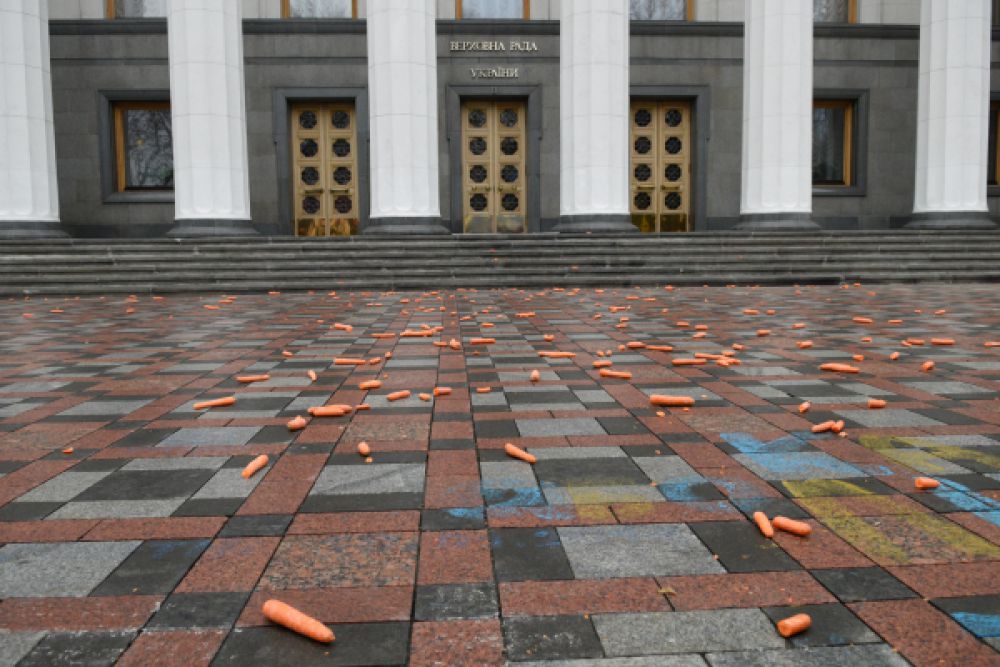 Акция протеста проходит перед зданием Верховной Рады. Участники разложили на площади морковки в насмешку над премьер-министром.