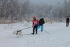 Скиджоринг - дисциплина ездового спорта, в которой лыжник-гонщик передвигается свободным стилем по лыжной дистанции, при этом спортсмен связан с одной или двумя собаками специальным шнуром. 