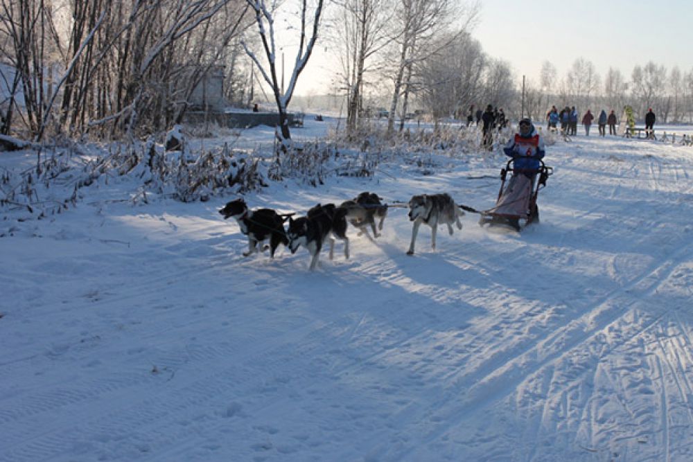 Снежно и морозно!