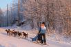 На Камчатке открыт зимний сезон ездового спорта.