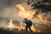 Лесные пожары в Калифорнии в сентябре 2015 оставили без крова несколько тысяч человек. Огонь охватил площадь более 28 тысяч гектаров в округах Лейк, Напа и Сонома. Территория северной части штата была объявлена зоной стихийного бедствия.