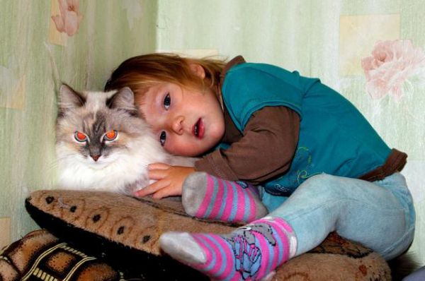 Кошка Маша с девочкой Сашей