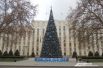 Это новогоднее дерево украшает здание администрации Краснодарского края.
