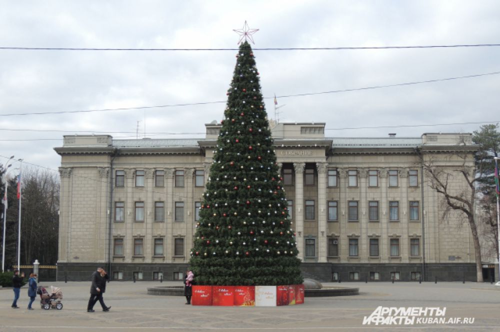 Новогодняя ель возле здания Законодательного собрания Краснодарского края.