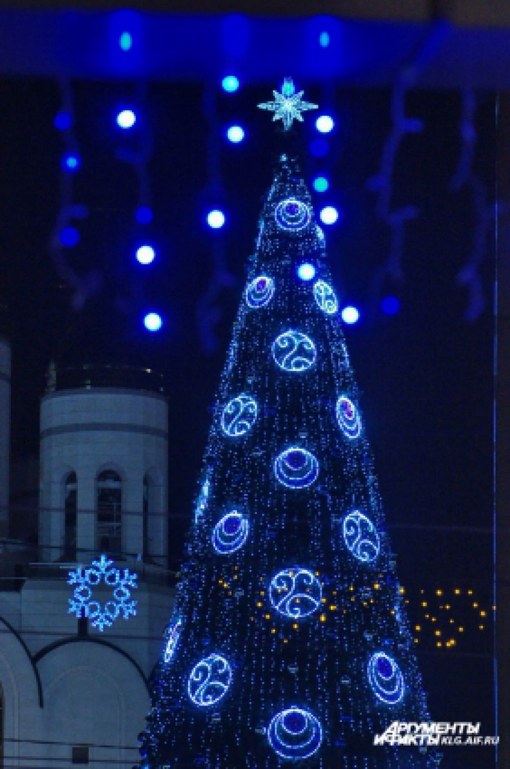 Главная елка Калининграда.