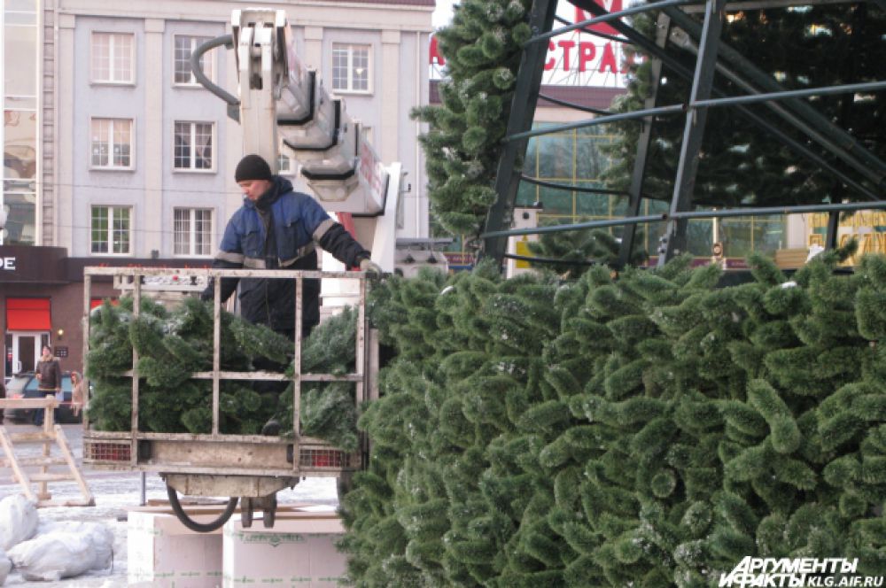 Главную елку Калининграда монтировали почти неделю.