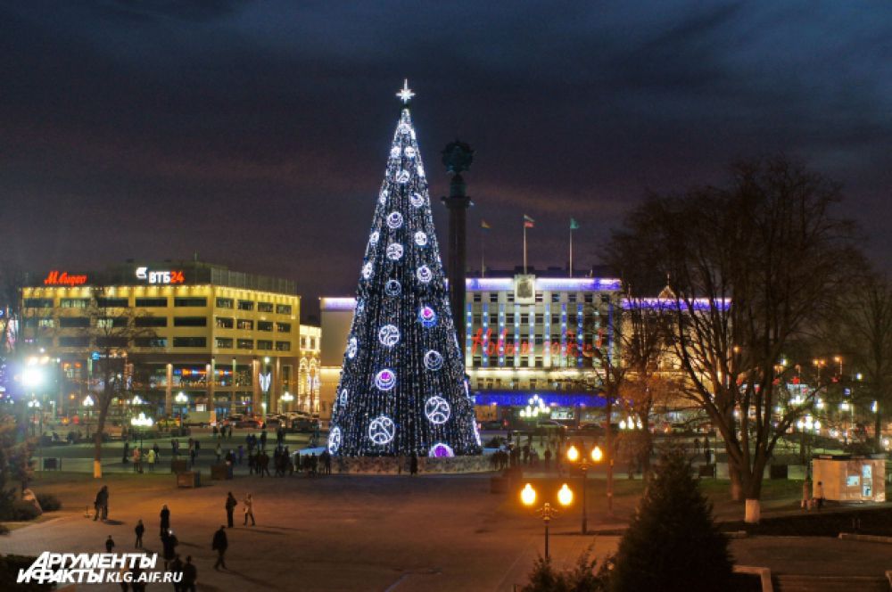 Главная елка Калининграда.
