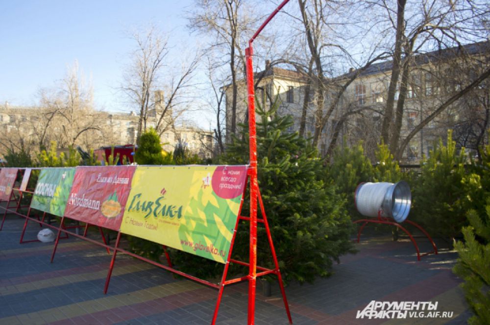 Елочные базары открылись в Волгограде во всех оживленных местах.