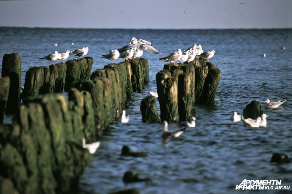 Балтийское море.