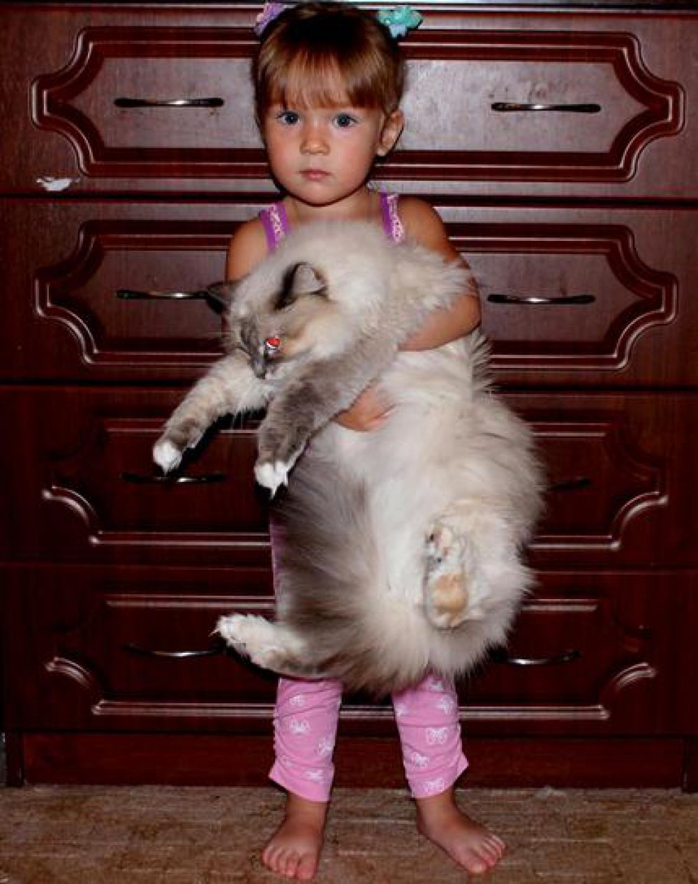 Кошка Маша с хозяйкой Сашей