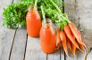 В моркови содержится бета-каротин, он укрепляет защитные функции организма, настраивая их работу на противостояние вирусным и бактериальным инфекциям. Нужно иметь в виду, что чем больше бета-каротина поступает в организм человека, тем больше становится в нем защитных иммунных клеток.