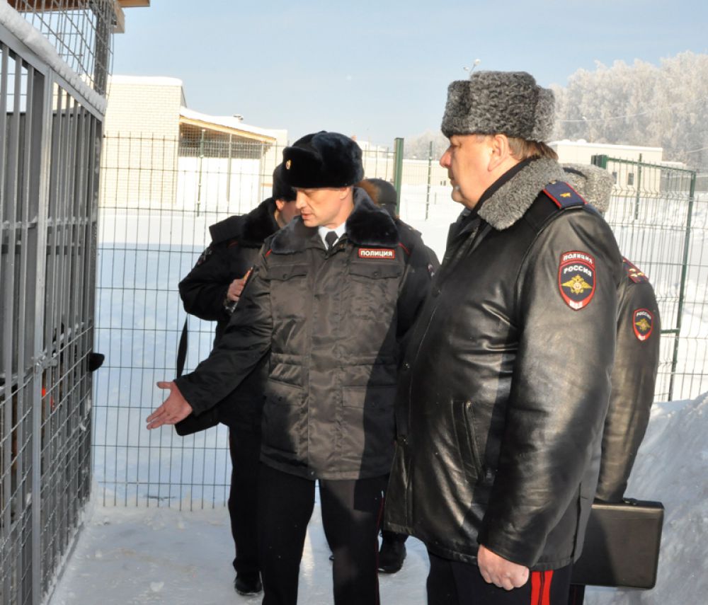 Глава ульяновской полиции осмотрел ветеринарную лечебницу, корпус спецкухни, вольеры для собак