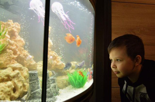 Даниил и его новый аквариум.