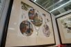 Художник Пётр Фролов привезёт новые работы из полюбившейся пермякам серии «Азбука». В сказочном мире каждой из его картин разместится 43 предмета, которые начинаются на разные буквы алфавита. 