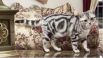 Американская короткошерстная. Эти кошки очень дружелюбны к людям, их детям, а так же без проблем уживаются с другими животными в доме.