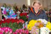 На рынке можно приобрести традиционные для 8 марта цветы – тюльпаны и мимозы, а также более изысканные экземпляры флоры – розы, орхидеи, лилии.