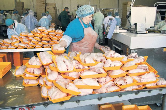 Челябинская область второй год сохраняет второе место в Российской Федерации по производству мяса в целом и мяса птицы в частности. 