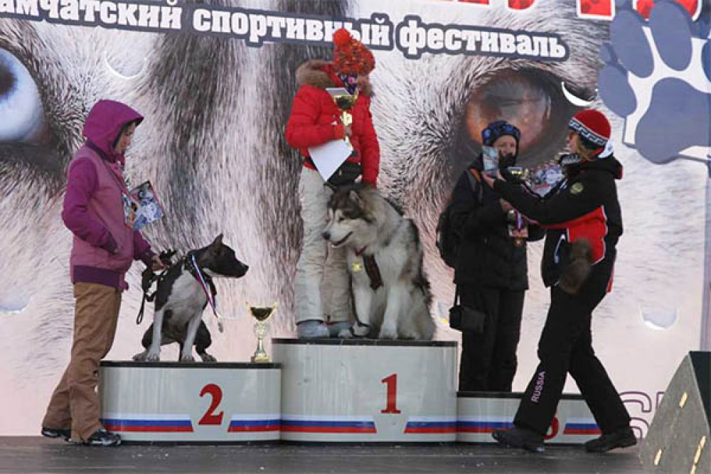 Награждение победителей.