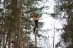 Жителям Житомира было нескучно
