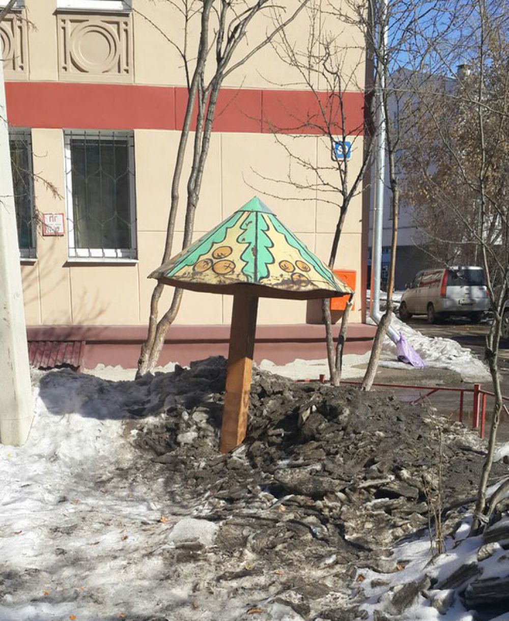 Количества снега, лежащего во дворах, хватит, чтобы обеспечить жителям близлежащих домов весенне-летнюю борьбу с сыростью и невыводимой пылью.