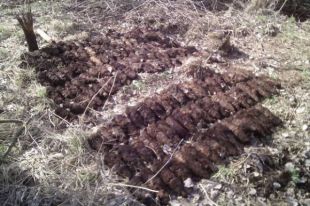 боеприпасы времен Второй Мировой