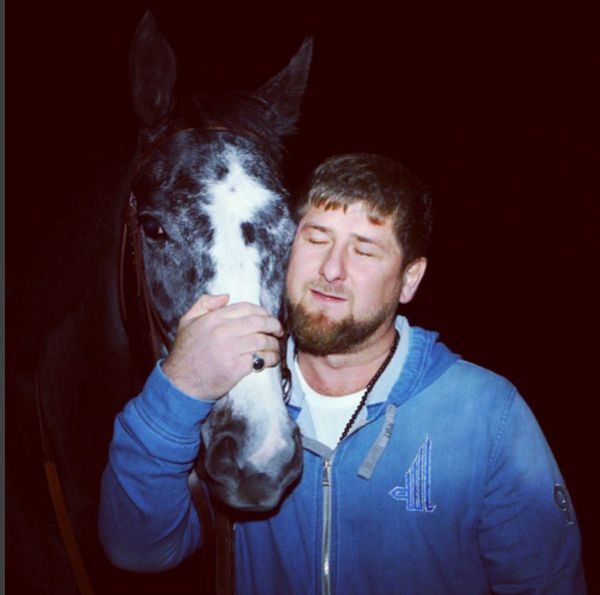 Глава Чечни на фото со своей лошадью Дэшинг Хоум. На странице в соцсети Кадыров возмущается решением Министерства финансов Чехии не выплачивать призовые его скакунам.