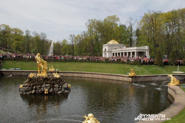 Петергоф мероприятия. Фонтан шар в Петергофе.