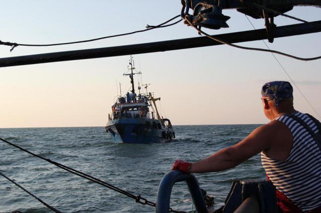 В Балтийском море российские рыбаки возобновят промысел лосося