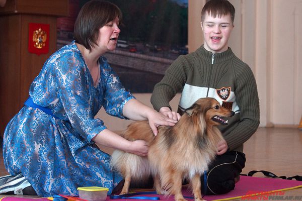 Канистерапия – уникальный метод лечения и реабилитации с использованием специально отобранных и обученных собак.