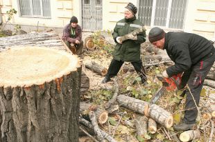 Застройщик приступил к работам.