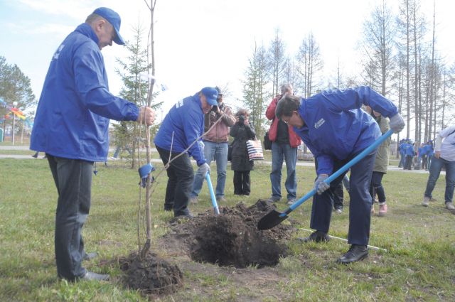 Тысячу деревьев высадят к ЧМ-2018 в Калининграде на набережной Ветеранов.