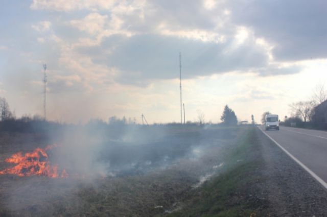 За 2 недели в регионе из-за пала травы сгорели 6 сараев, авто и поросенок.