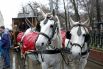 Запряженная лошадьми конка XIX века на ежегодном празднике московского трамвая на Чистопрудном бульваре.