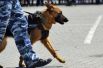 Служебная собака во время показательных выступлений сотрудников кинологического цента МВД России.