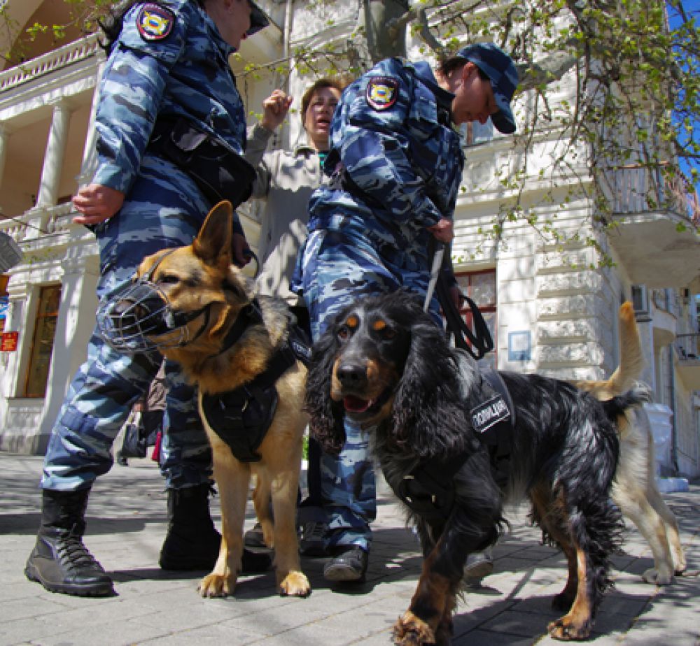 Сотрудники кинологического цента МВД России по Севастополю.